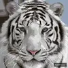 genemarsh539 - @genemarsh539 - TikTok