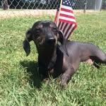 Gene Mason - @campdiggy - Instagram