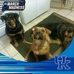 Eugene B McClellan - @mcclellaneugene - Instagram