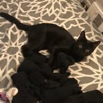 Kayla Gene McCutcheon - @princesskayla_kittykat - Instagram