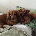 Gene McKay - @genemckay637 - Instagram