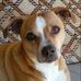 Gene Mead - Facebook