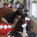 Gene Mead - Facebook