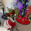 Gene Miles - @gene.miles - TikTok