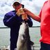 Gene Millard - Facebook