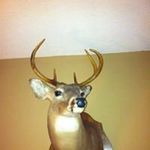 Gene Mitchell - @mitchell.donald38 - Instagram