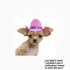 Mitchell - @mitchell.gene - TikTok