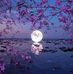 Gene Molina - Facebook