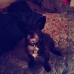 Eugene Emilio Monaco - @genemonaco2 - Instagram