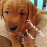 Gene Monteith - @genemonteith - Instagram