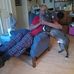 Gene Moody - Facebook