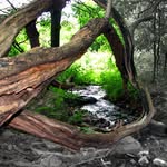Gene Morse - @genemorse206 - Instagram