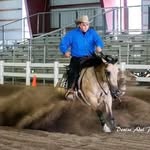 Gene Munger - @munger_performanc_horses - Instagram