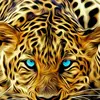 مومن.موني. - @genenacer - TikTok