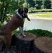 Gene Nash - Facebook