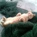 Gene Naylor - Facebook