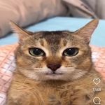 Riley Gene neff - @rileygeneneff - Instagram