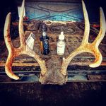 G. Connor Newcomb - @osiris_warrior - Instagram