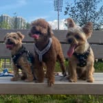 Gene Ng - @keiyangene - Instagram