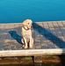 Gene Oakes - Facebook