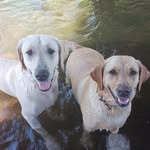 geneoakes - @idahooakes - Instagram