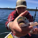 Gene O'Neill - @genokauaiinbend - Instagram