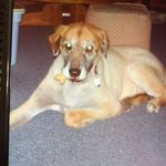Gene Parker - @gpagrands8 - Instagram