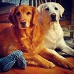 Gene Parker - @geneparker9714 - Instagram