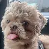 Genea Parrish - @geneaparrish123 - TikTok