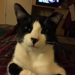 Gene Pearson - @genep75 - Instagram