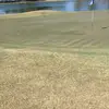 Gene Pickering - @gene.pickering - TikTok