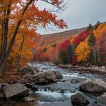 Eugene Pierce - @eugene.pierce.792 - Instagram