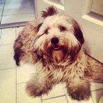 Gene Pierce - @lawauthor8354 - Instagram