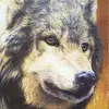 gene wolfen - @genepierce760 - TikTok