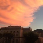 Gene - @gene.pratt_nu - Instagram