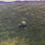 Gene Price - @oldgrandpa64 - Instagram