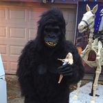 Gene Price - @biomcanx - Instagram