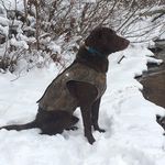 Gene Raymer - @outdoor_commander1 - Instagram
