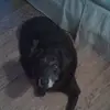 genereese0 - @genereese0 - TikTok