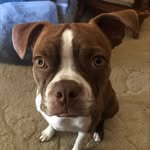 Gene Reimer - @egr45acp - Instagram