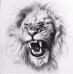 Gene Renfro - Facebook