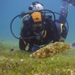 Gene Richards - @generichards9039 - Instagram