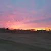 generichards187 - @generichards187 - TikTok