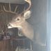 Gene Riddle - Facebook