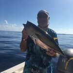Gene Rohr - @generohr - Instagram