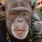 Gene Roper - @generoper - Instagram