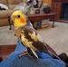 Gene Roper - Facebook
