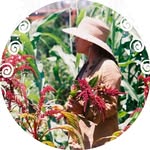 Generous Earth - @generous__earth - Instagram