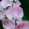 berkan - @generationsu - TikTok