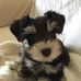 Gene Rutherford - Facebook